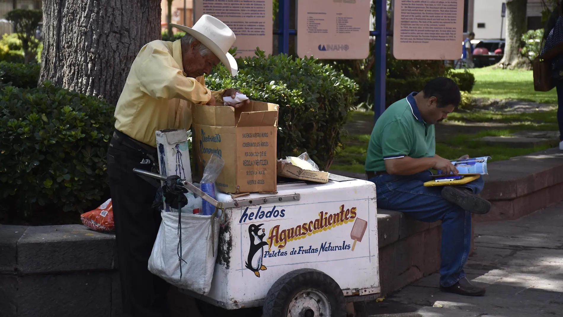 Paletas para la calor